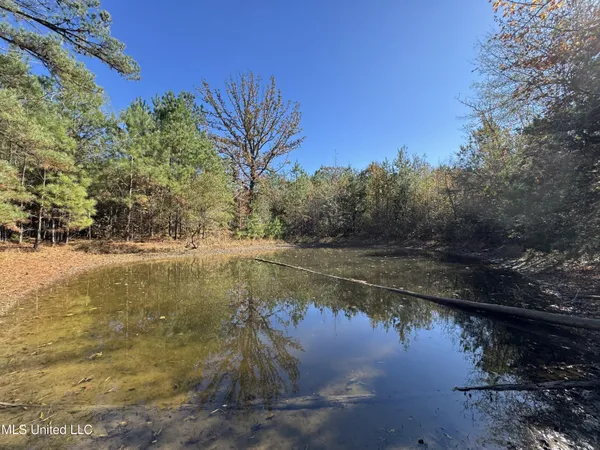 $324,300 | 0 Highway 16 West, De Kalb, MS 39328