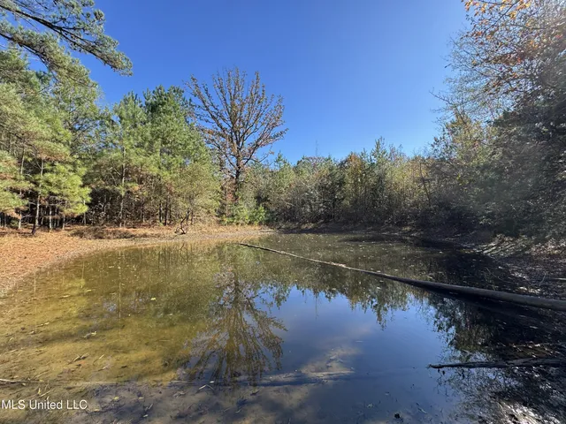 $324,300 | 0 Highway 16 West, De Kalb, MS 39328