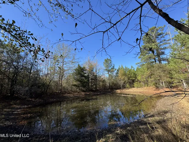 $324,300 | 0 Highway 16 West, De Kalb, MS 39328