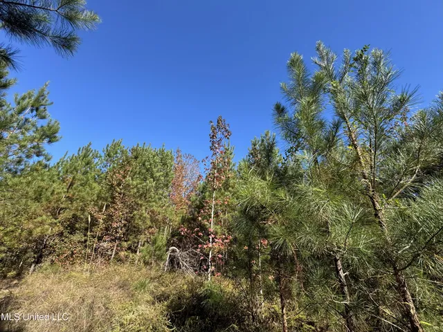 $324,300 | 0 Highway 16 West, De Kalb, MS 39328