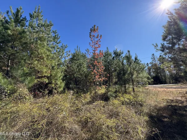 $324,300 | 0 Highway 16 West, De Kalb, MS 39328