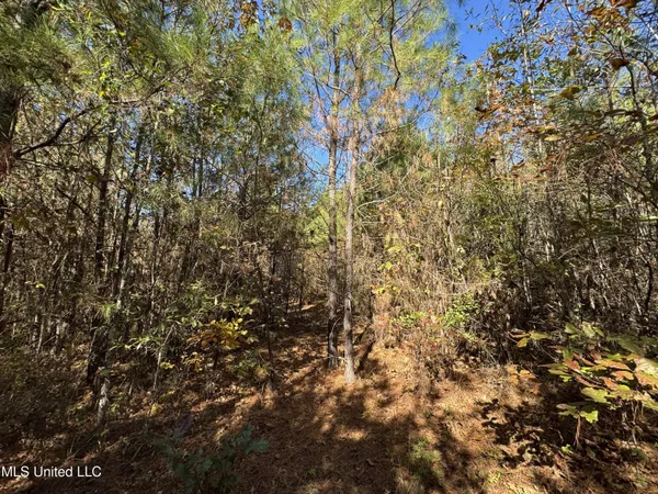 $324,300 | 0 Highway 16 West, De Kalb, MS 39328