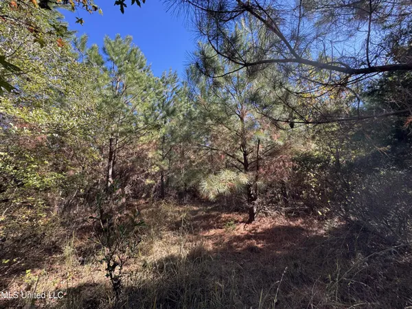 $324,300 | 0 Highway 16 West, De Kalb, MS 39328