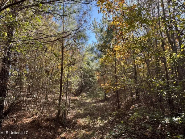 $324,300 | 0 Highway 16 West, De Kalb, MS 39328