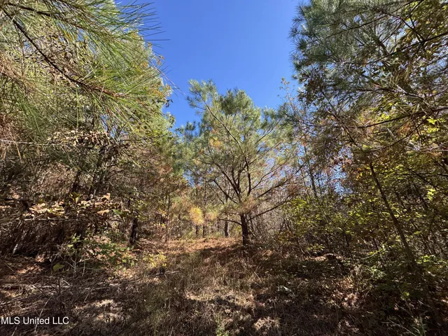 $324,300 | 0 Highway 16 West, De Kalb, MS 39328