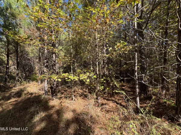 $324,300 | 0 Highway 16 West, De Kalb, MS 39328