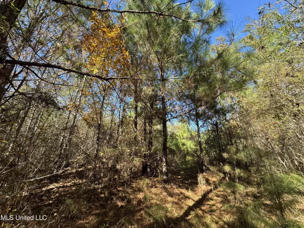 $324,300 | 0 Highway 16 West, De Kalb, MS 39328