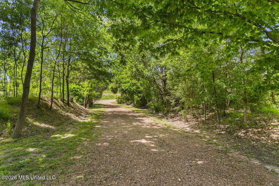 1815 Old Benton Road Yazoo City, MS 39194 - Photo 3 of 31 23129561-F945-4EBE-97BC-03AE8E40D82D_1_1