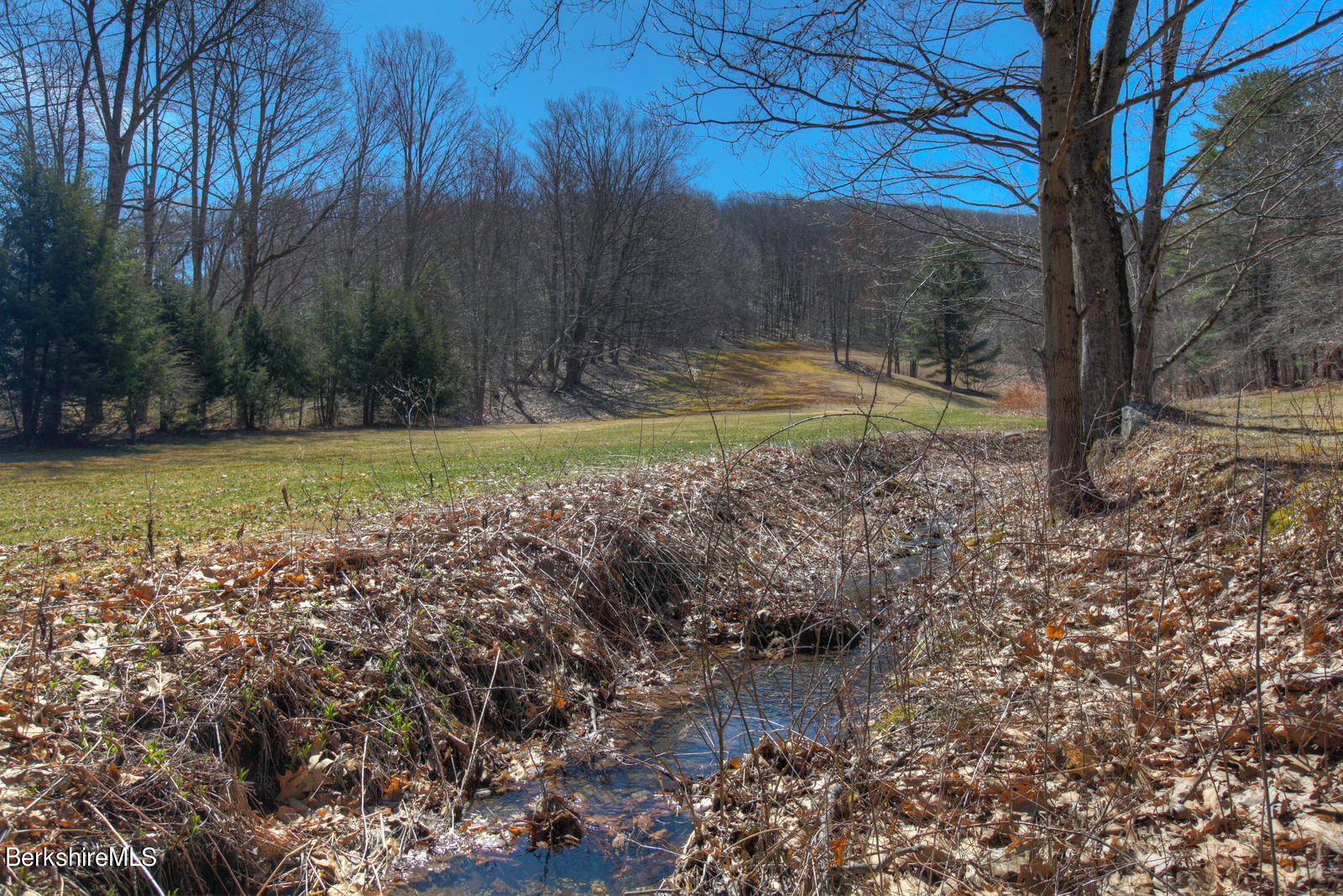 42 Rhoen Road Austerlitz, NY 12017 - Photo 4 of 43 a view of a yard with a tree