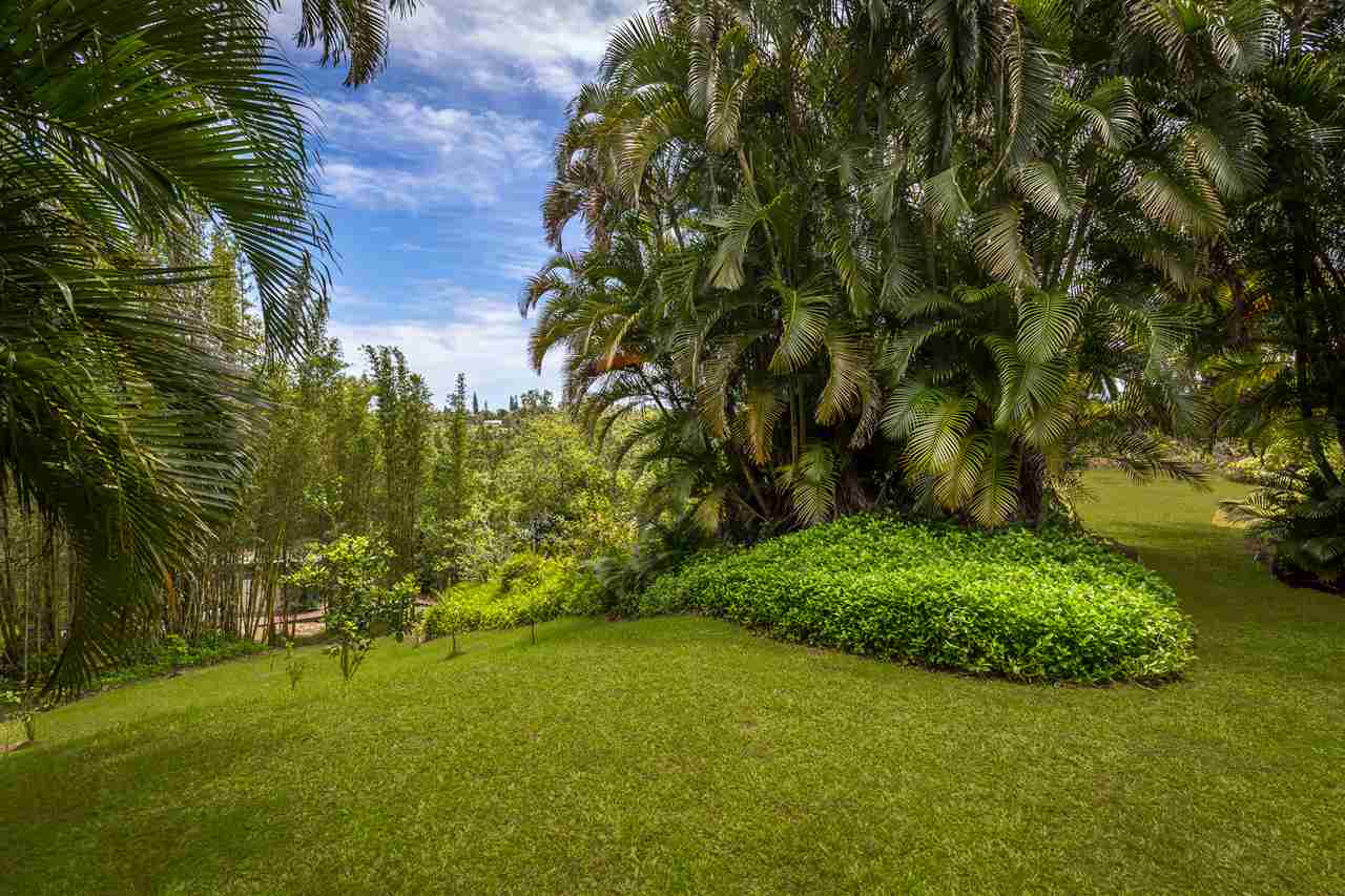 73 Door Of Faith Road Haiku, HI 96708 - Photo 22 of 30 a view of a yard with plants and large trees