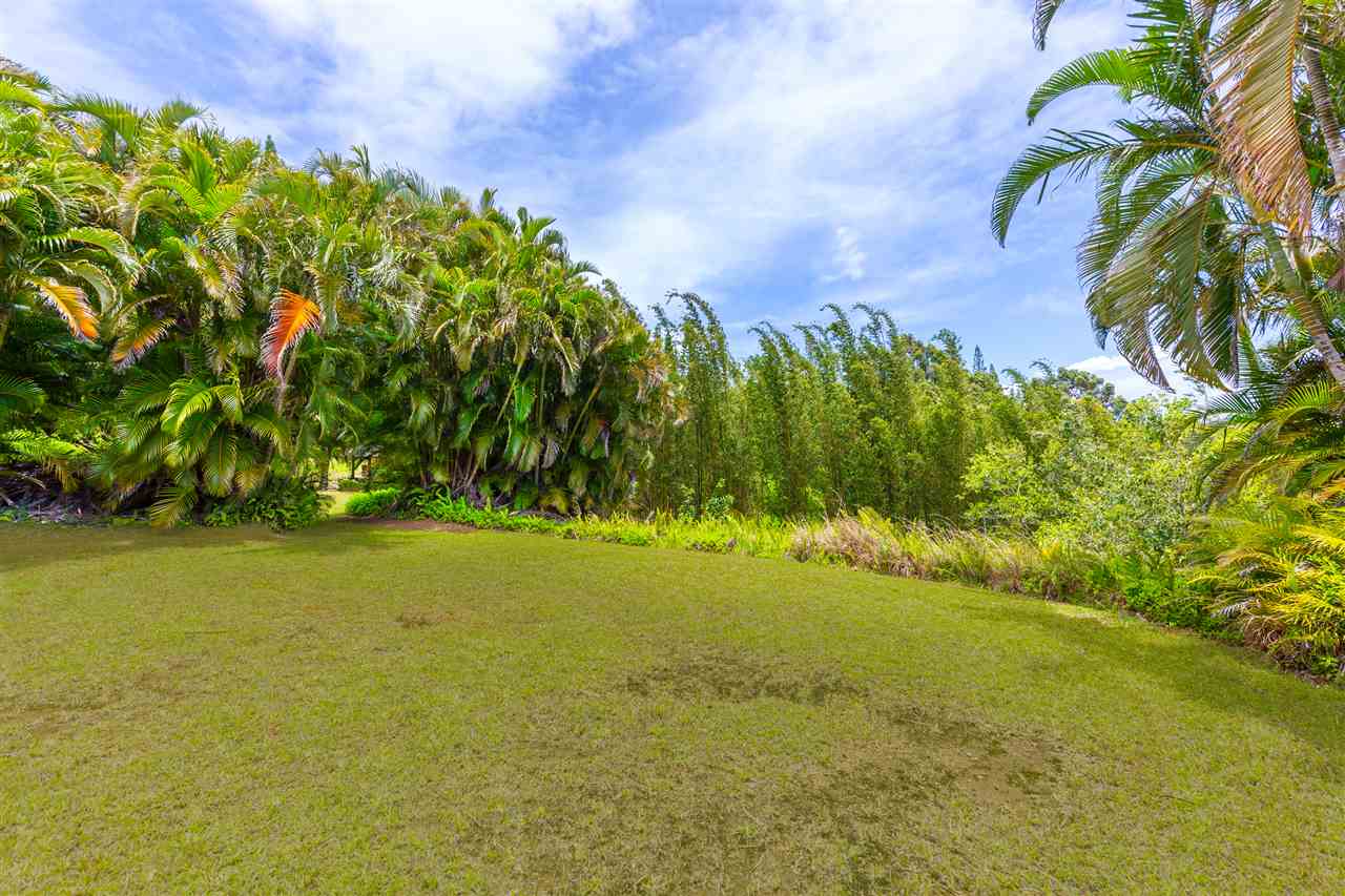 73 Door Of Faith Road Haiku, HI 96708 - Photo 23 of 30 a view of an ocean from a yard