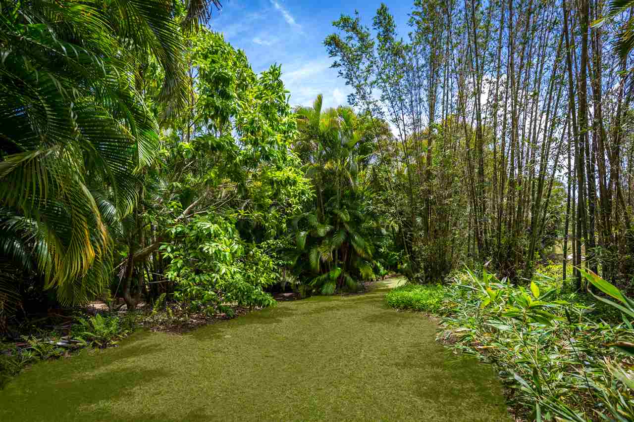 73 Door Of Faith Road Haiku, HI 96708 - Photo 24 of 30 a view of a garden