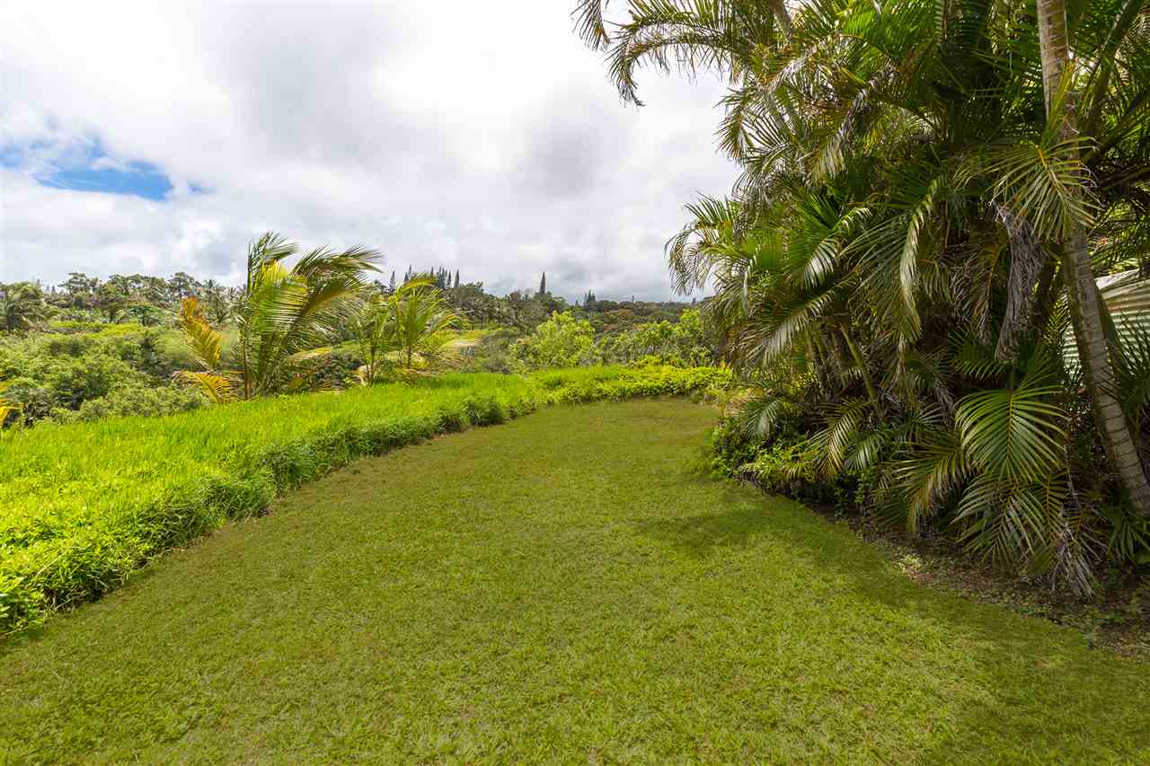 73 Door Of Faith Road Haiku, HI 96708 - Photo 26 of 30 a view of an ocean from a yard