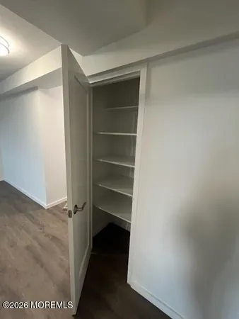 a view of a walk in closet