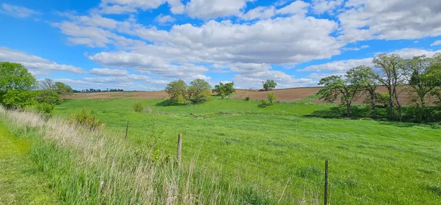 $429,000 | 16128 331st Avenue, Harmony, MN 55939