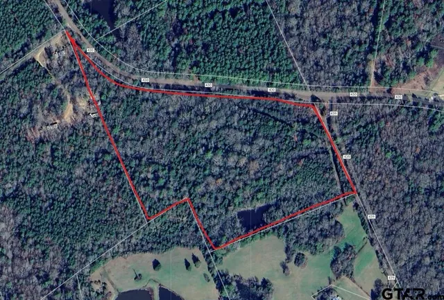 a view of a lush green space