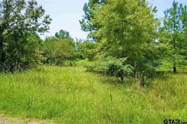 a view of a garden with a pathway