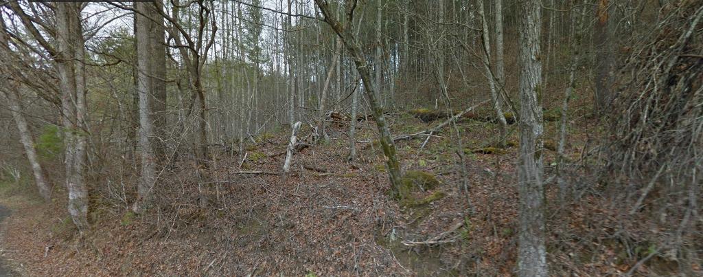 Green Corner Road Hartford, TN 37753 - Photo 1 of 1 Screenshot 2018-09-30 13.52.49