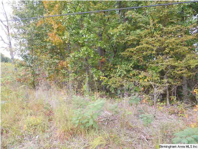 Rocky Road, Unit 58 Sylacauga, AL 35151 - Photo 1 of 7