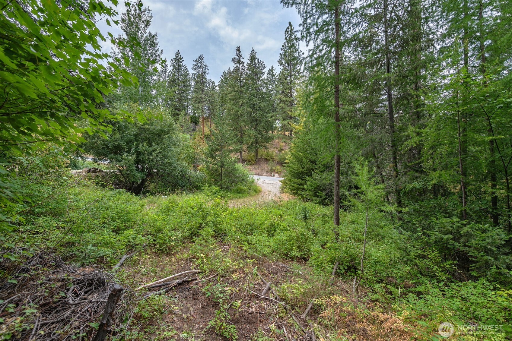 6409 Forest Ridge Drive Wenatchee, WA 98801 - Photo 3 of 30