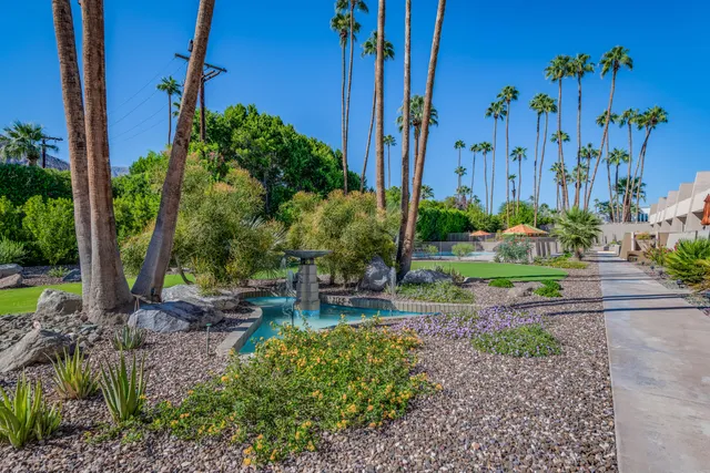 a view of a backyard with plants and swimming pool