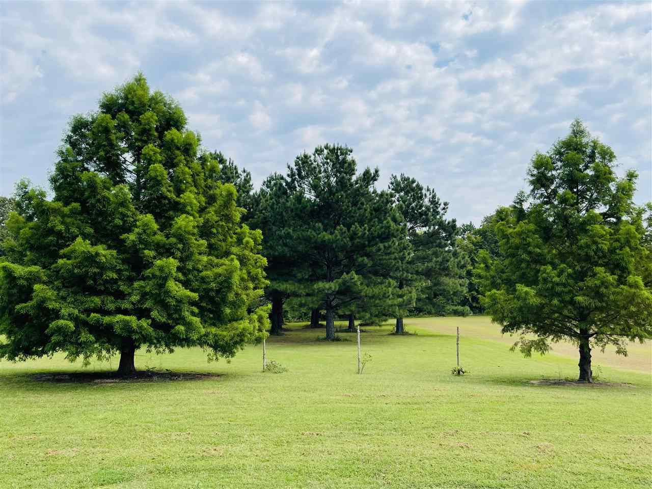 170 Guy McAdams Road Henderson, TN 38340 - Photo 20 of 22 Gallery Image 20