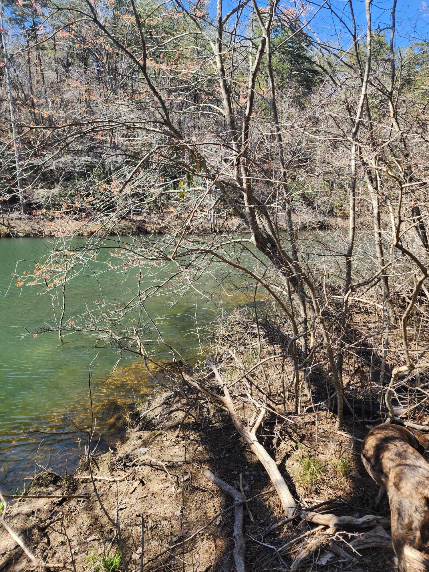 0 Cherokee County 623, Unit 24 Mentone, AL 35984 - Photo 2 of 3 20260328_145525
