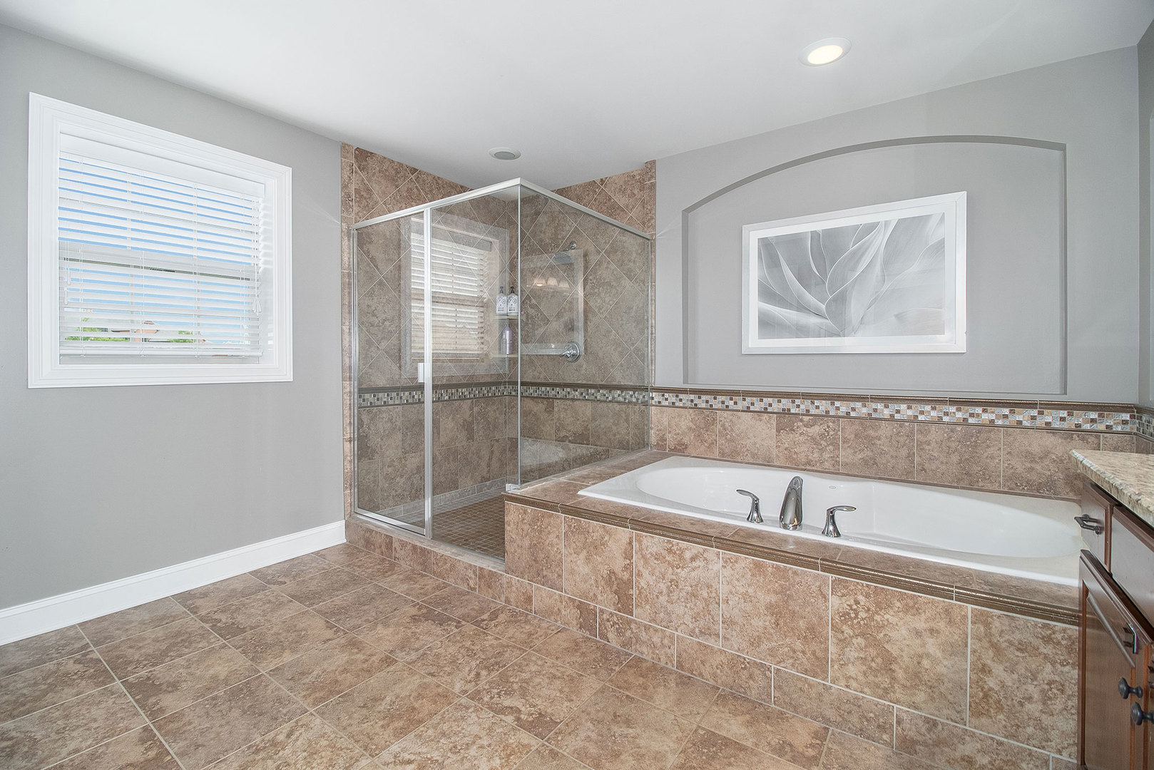 4512 Corktree Road Naperville, IL 60564 - Photo 27 of 66
