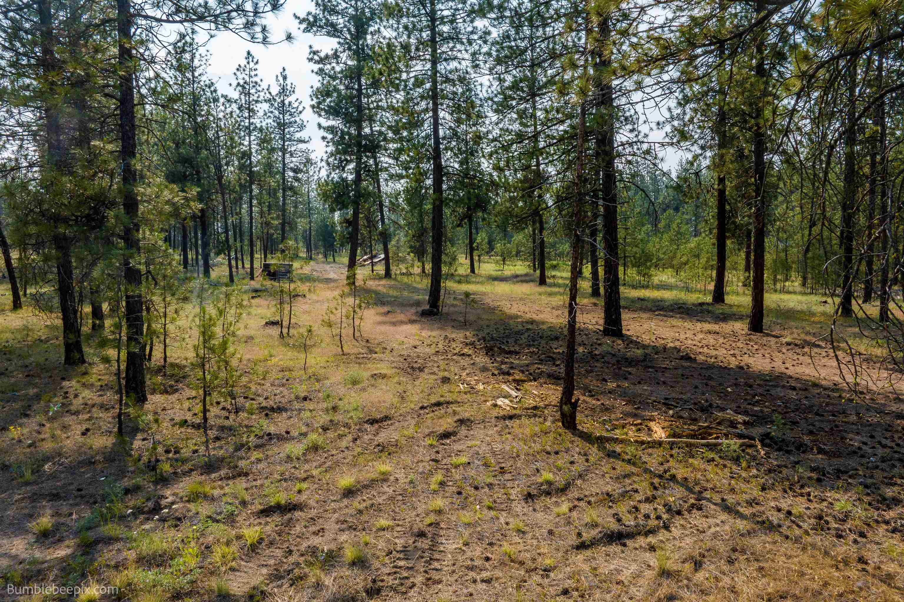 5600 Corkscrew Canyon Road Tumtum, WA 99034 - Photo 15 of 31 Gallery Image 15
