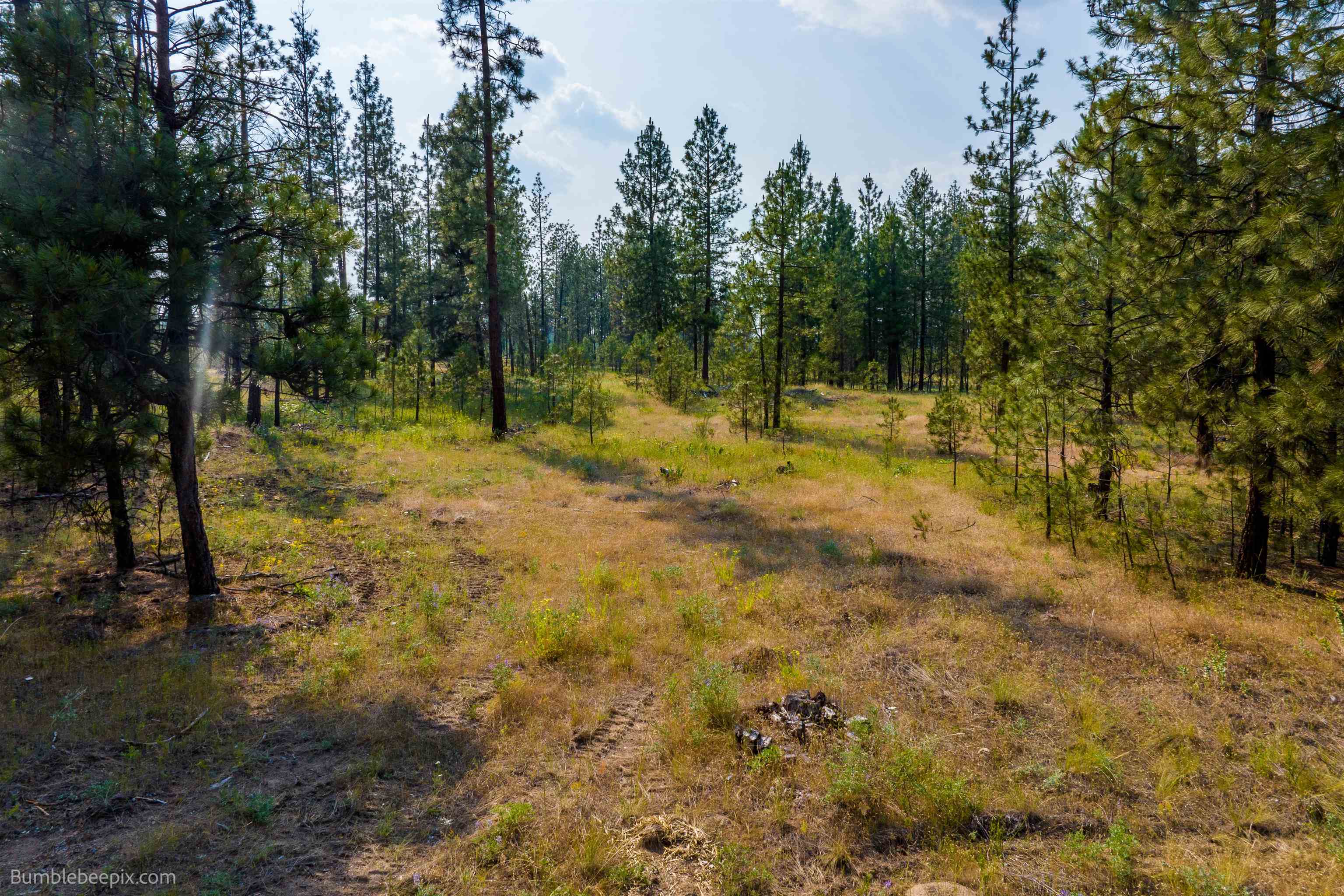 5600 Corkscrew Canyon Road Tumtum, WA 99034 - Photo 17 of 31 Gallery Image 17