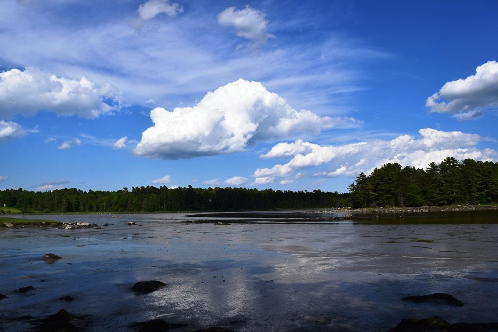 38 Dwelly Point Road Franklin, ME 04634 - Photo 4 of 10 L 4