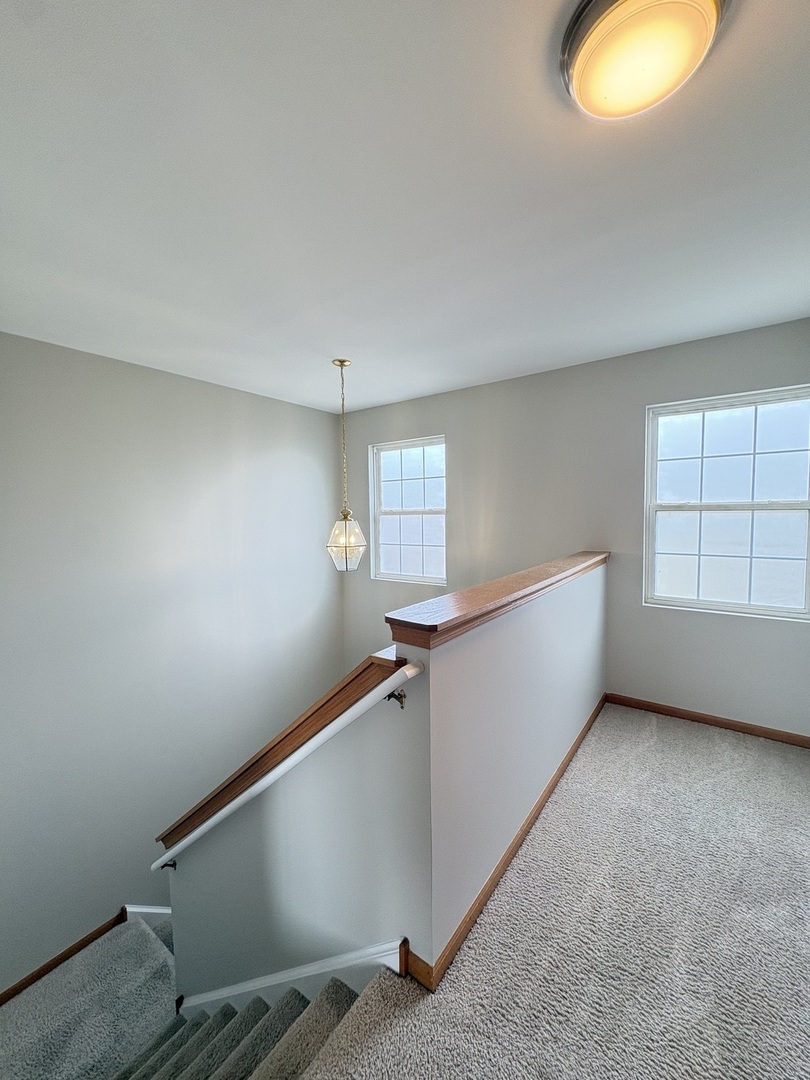 655 Chestnut Ridge Minooka, IL 60447 - Photo 13 of 19