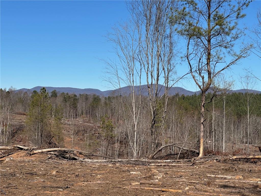 475 Larmon Forks Road Dahlonega, GA 30533 - Photo 1 of 1 Gallery Image 1