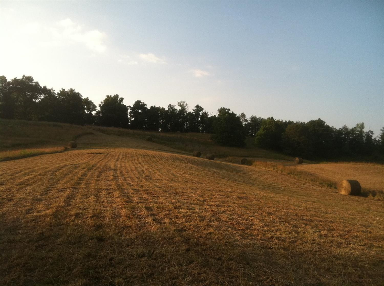 887 Matt Baker Road London, KY 40744 - Photo 8 of 77 Photo 8