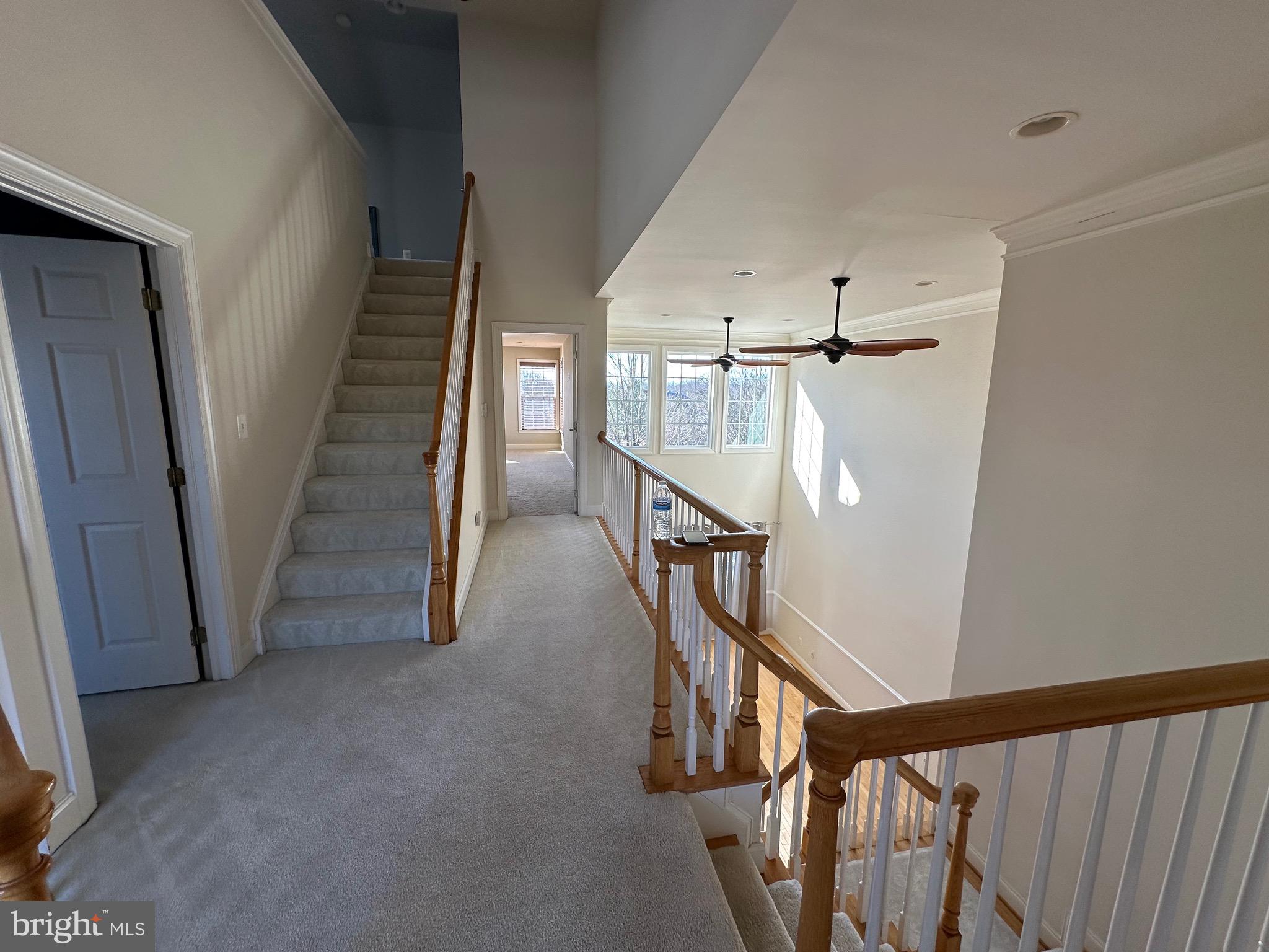 19901 Naples Lakes Terrace Ashburn, VA 20147 - Photo 12 of 34