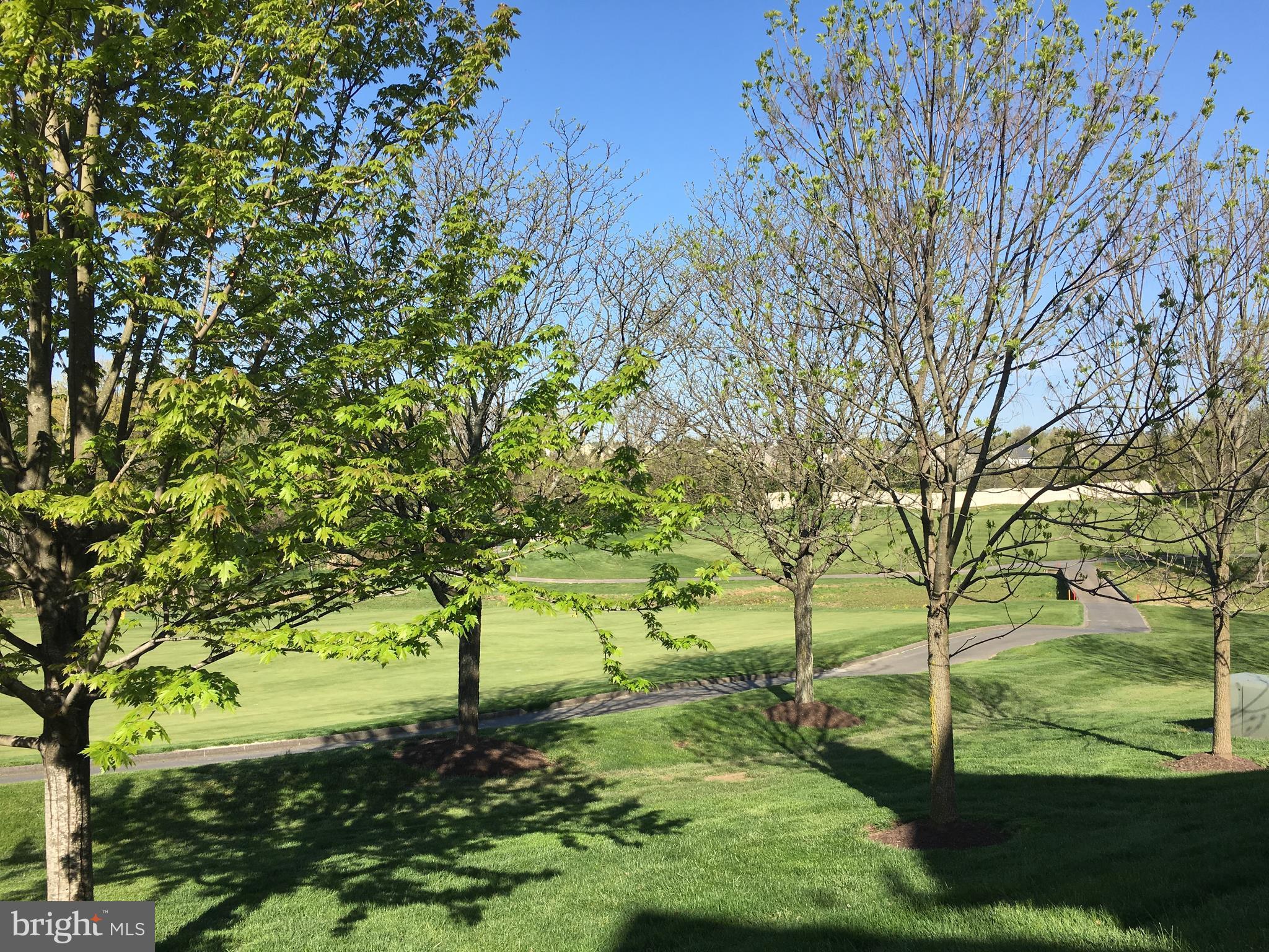19901 Naples Lakes Terrace Ashburn, VA 20147 - Photo 31 of 34 View of Back Yard
