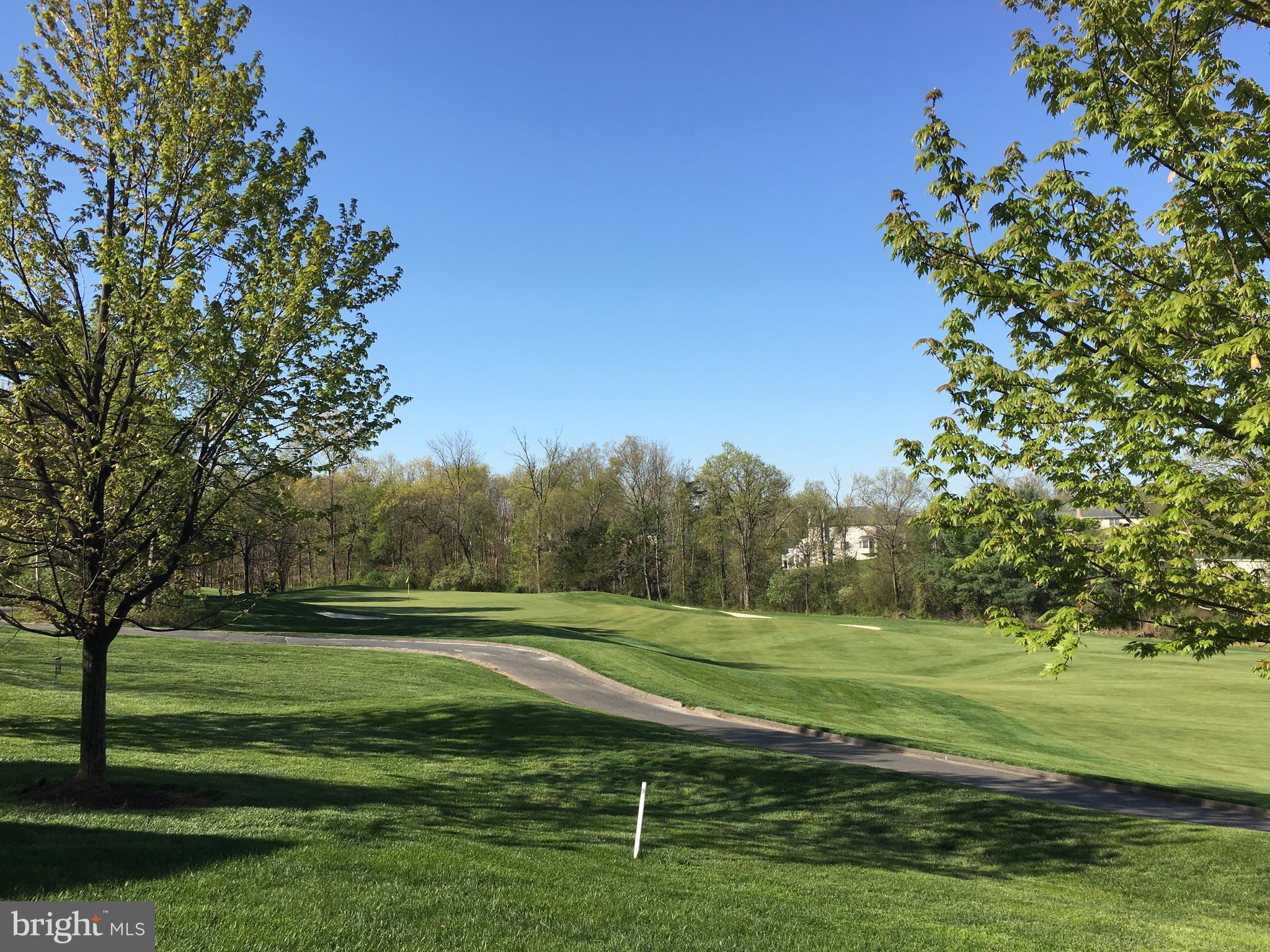 19901 Naples Lakes Terrace Ashburn, VA 20147 - Photo 32 of 34 View of Rear