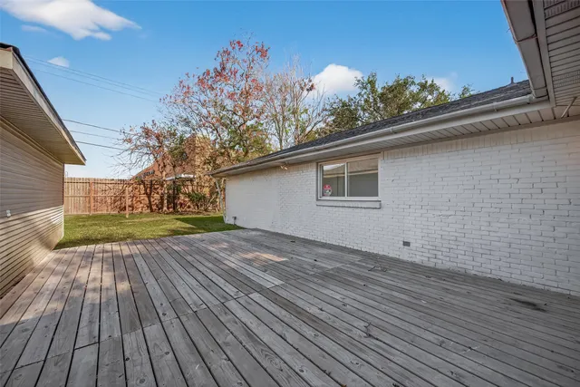 a view of a backyard with plants and large tree
