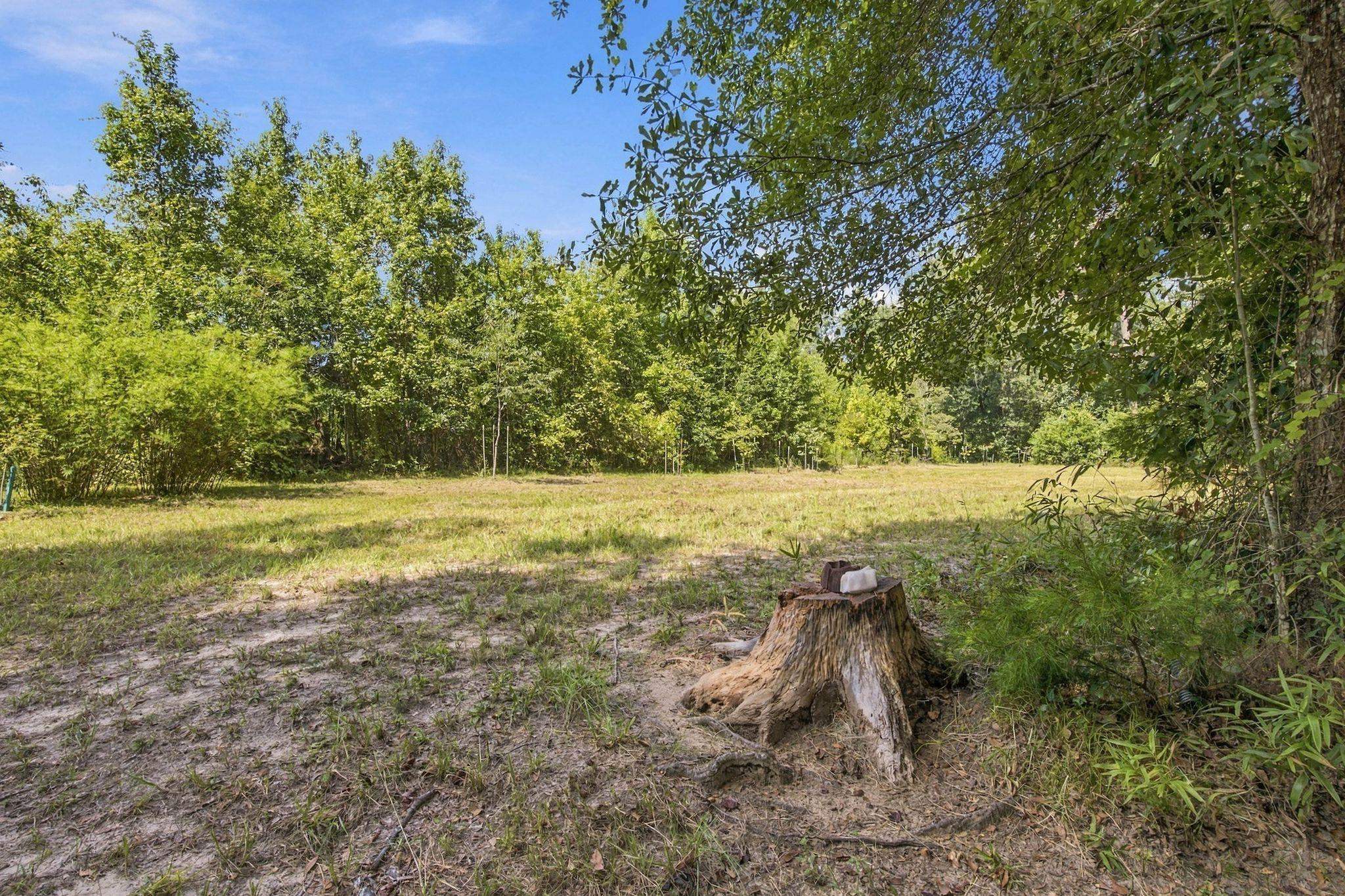 Lot 16 Johnny Road Lamont, FL 32336 - Photo 20 of 54 Gallery Image 20