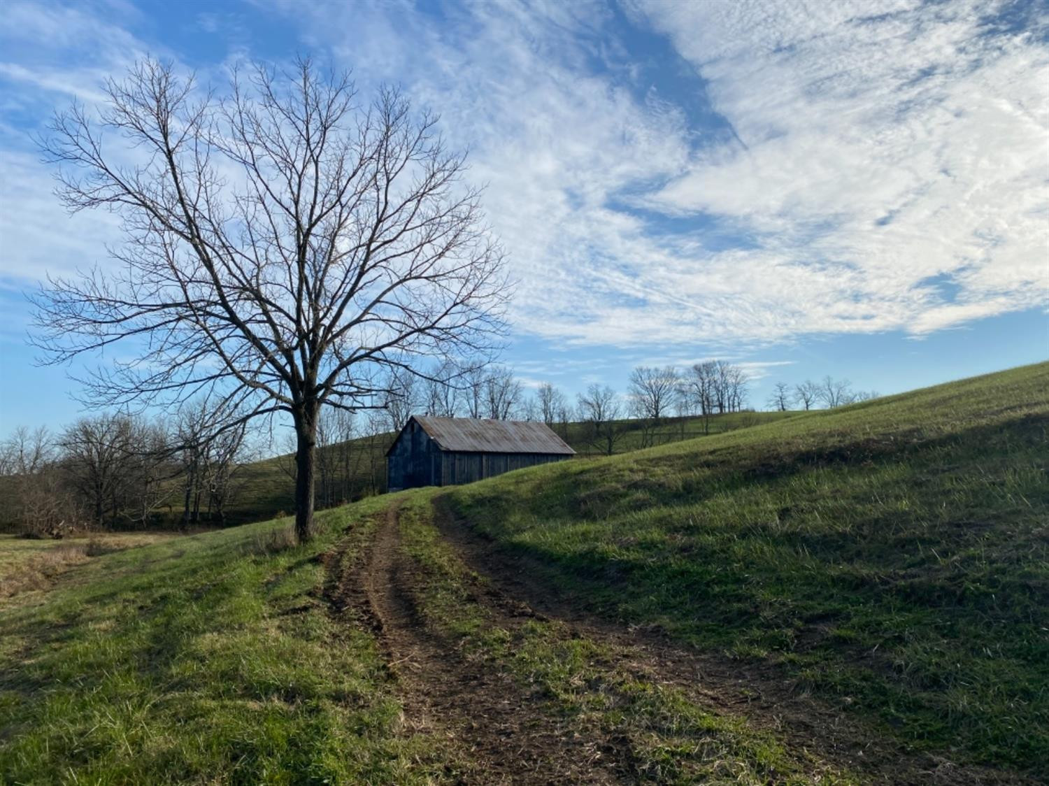 591 Rockridge Road Paris, KY 40361 - Photo 37 of 61 Photo 38