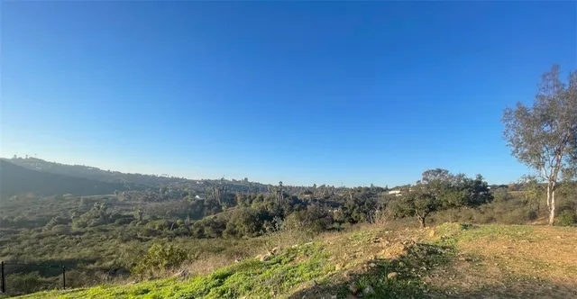 a view of a yard with a tree
