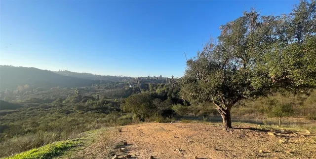 a view of a yard with an outdoor space