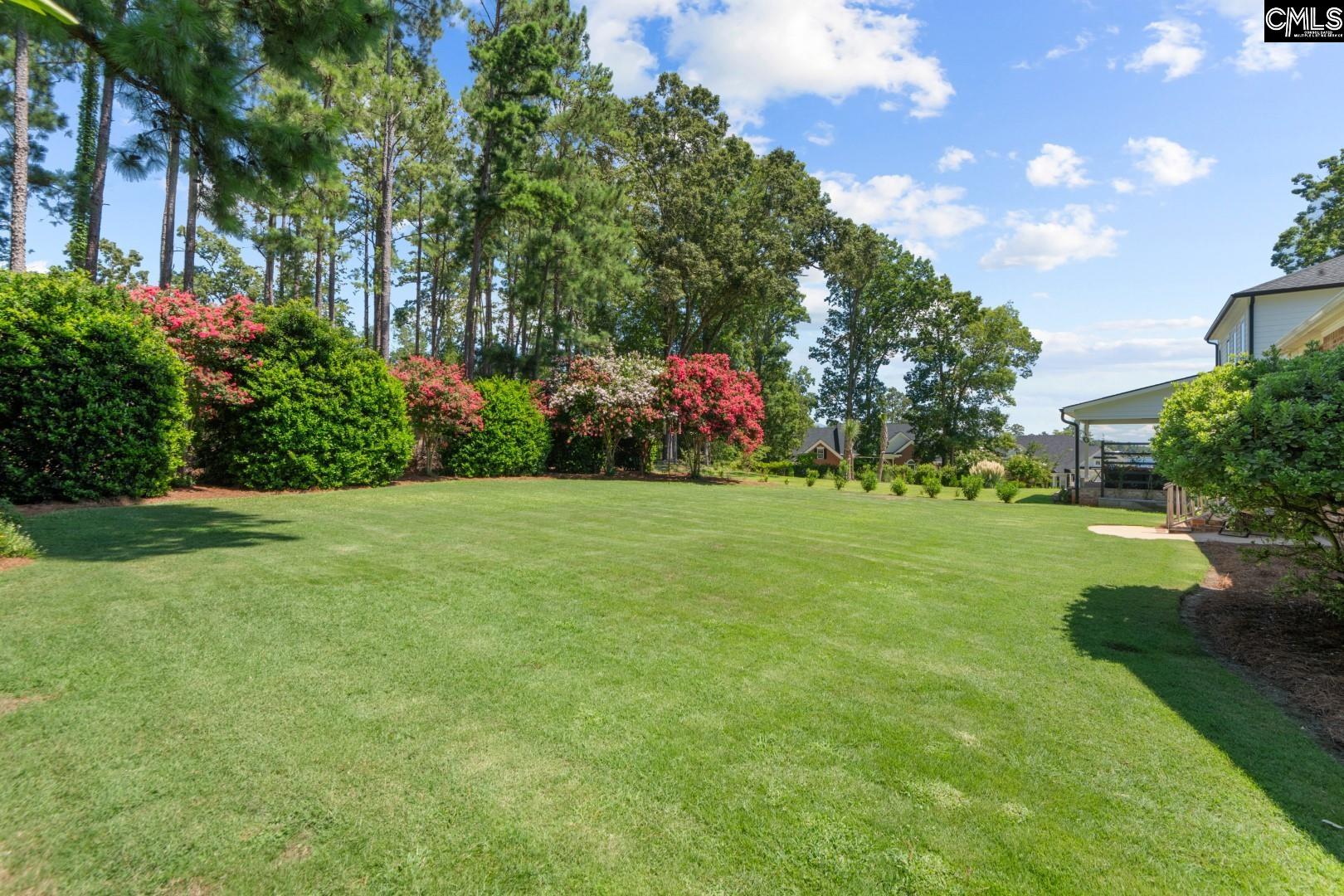 115 Pointe Overlook Drive Chapin, SC 29036 - Photo 38 of 45