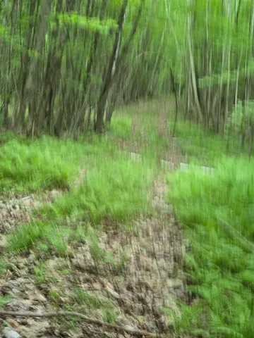 $190,000 | 882 Morse Road, Woodsville, NH 03785