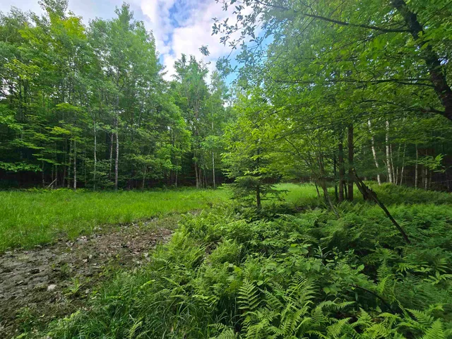 $190,000 | 882 Morse Road, Woodsville, NH 03785