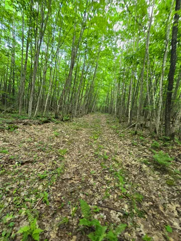 $190,000 | 882 Morse Road, Woodsville, NH 03785