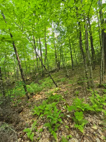 $190,000 | 882 Morse Road, Woodsville, NH 03785