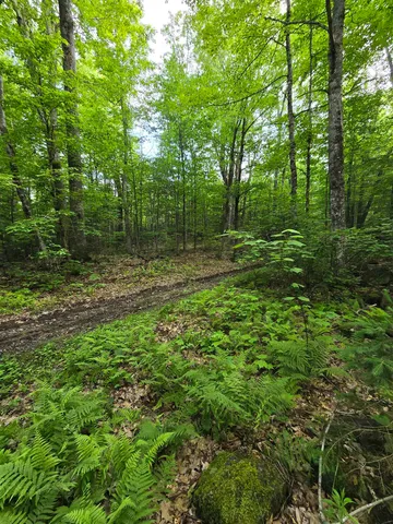 $190,000 | 882 Morse Road, Woodsville, NH 03785