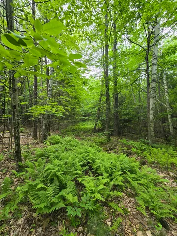 $190,000 | 882 Morse Road, Woodsville, NH 03785