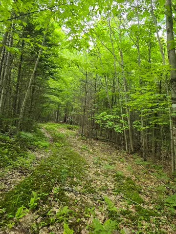 $190,000 | 882 Morse Road, Woodsville, NH 03785